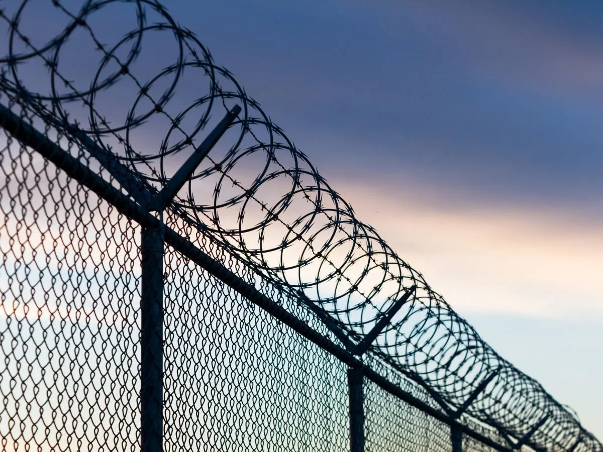 Galvanised barbed wire strands running along the top of a chainwire security fence