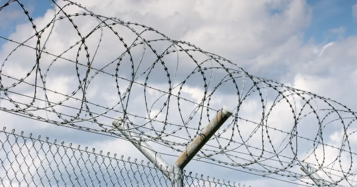 Galvanised chainwire fence topped with a razor-wire coil at a secure site