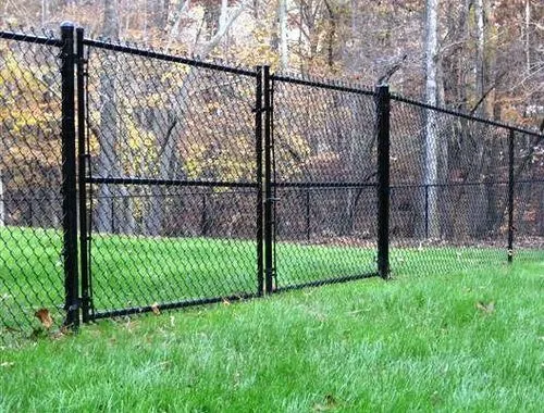 A black chainwire fence line with a matching gate.
