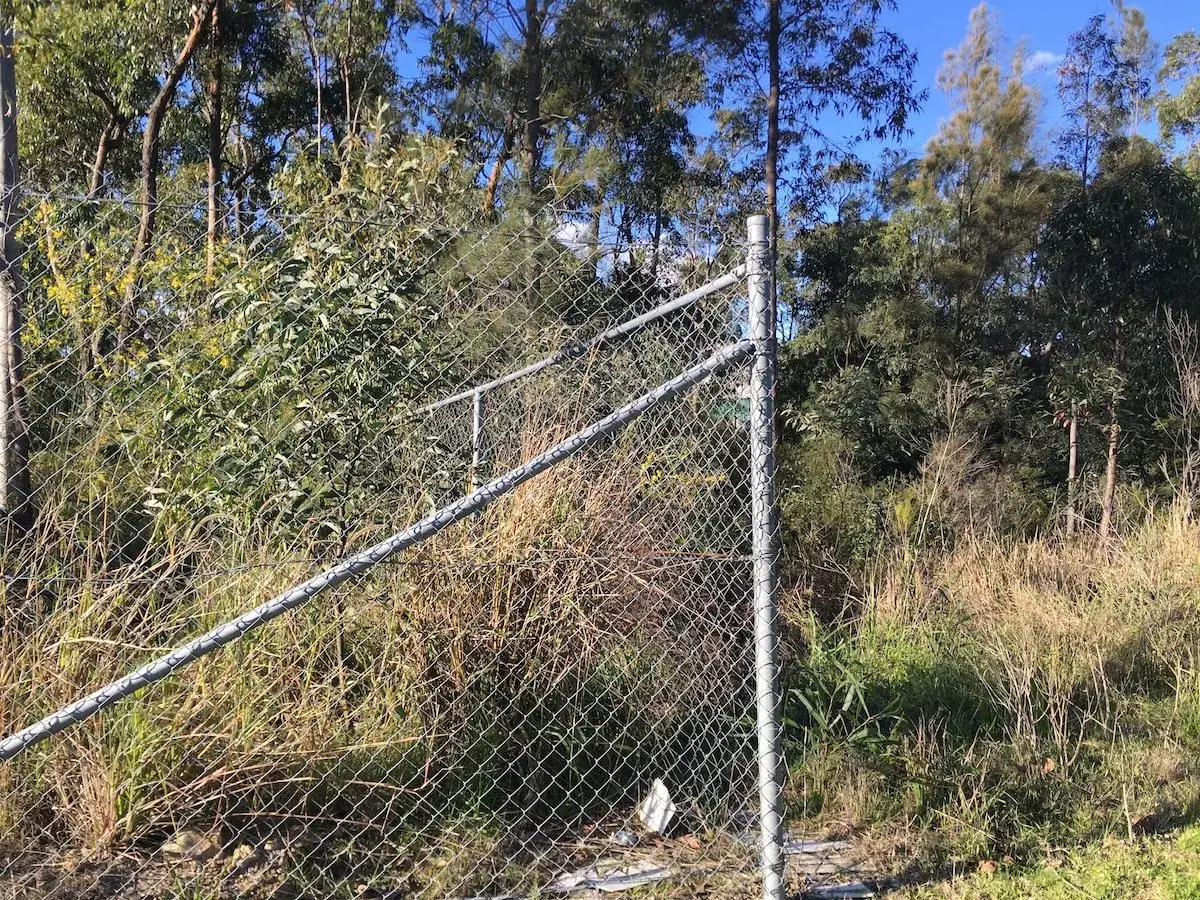 Galvanised chainwire fence along a rural bushland boundary