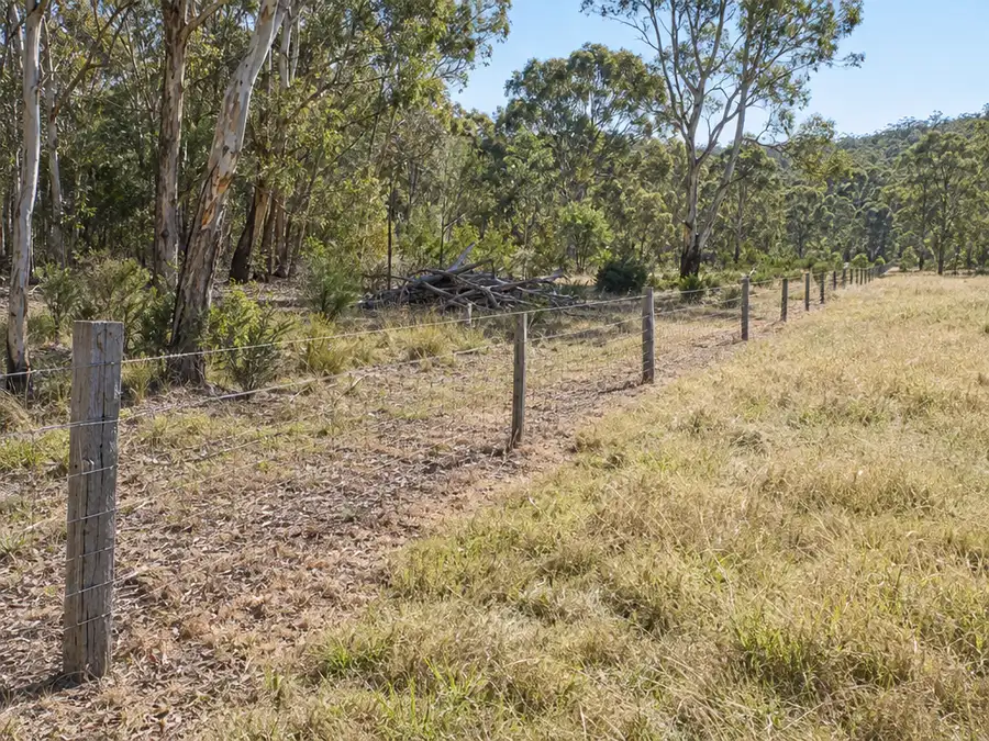A rural Australian boundary: a post and wire fence running along a dry grassy paddock, with a strip of cleared bare ground between the fence and the eucalypt bush beyond it. Fallen dead branches are gathered into a small stack well back from the wire.