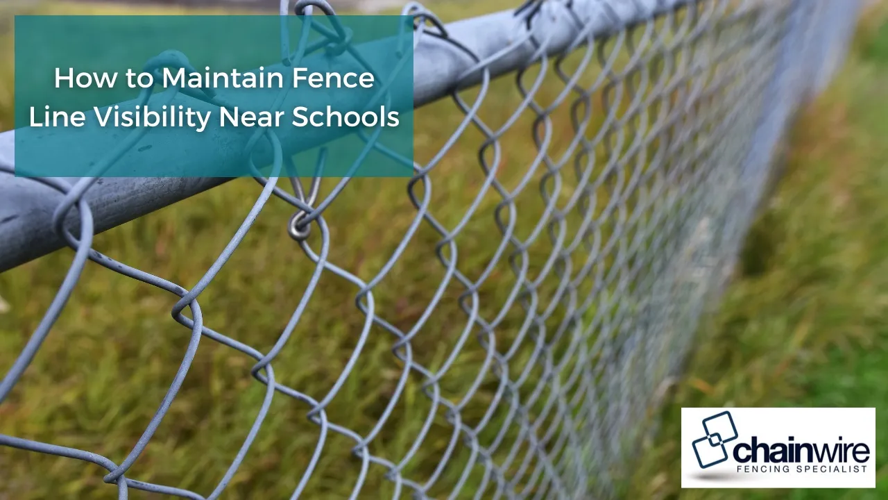 Open chainwire fencing along a school boundary with clear sightlines to the playground