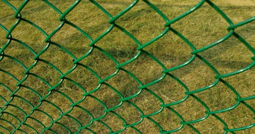 A close-up view of a green vinyl-coated chain-link fence over a grassy field.