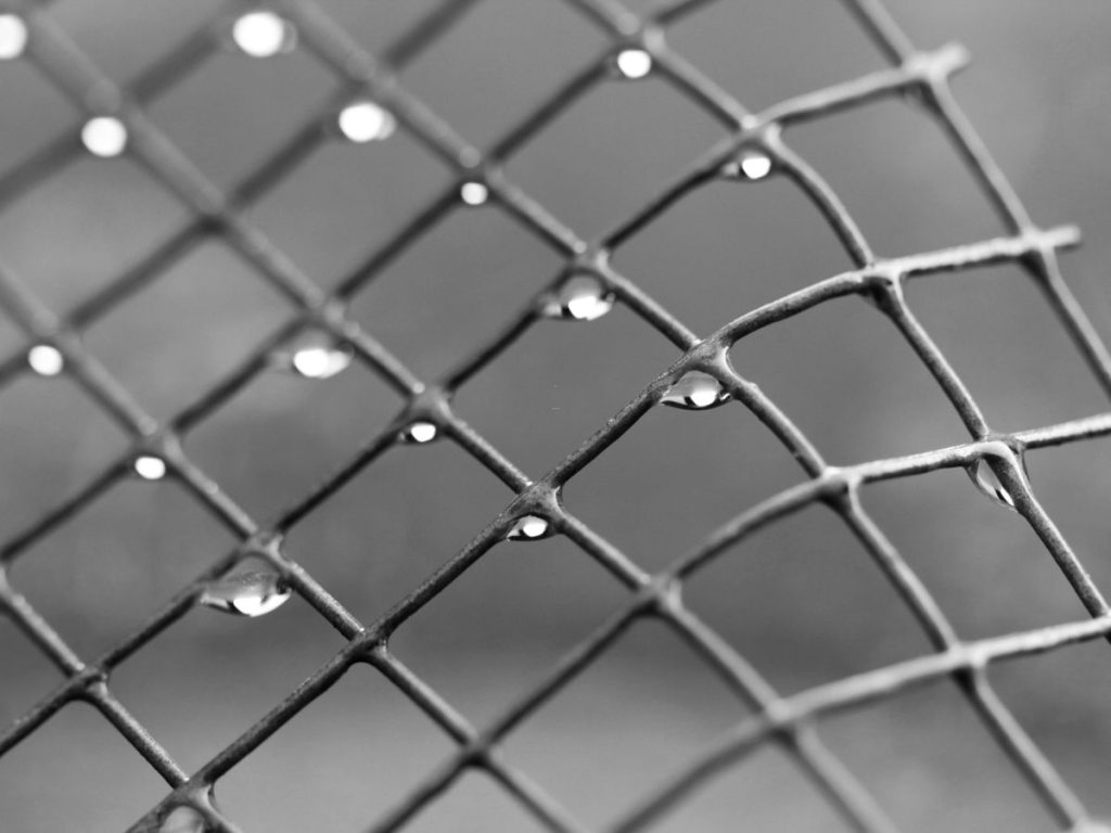 A black and white close-up of a wire mesh fence with clear water droplets clinging to the intersections of the wire.