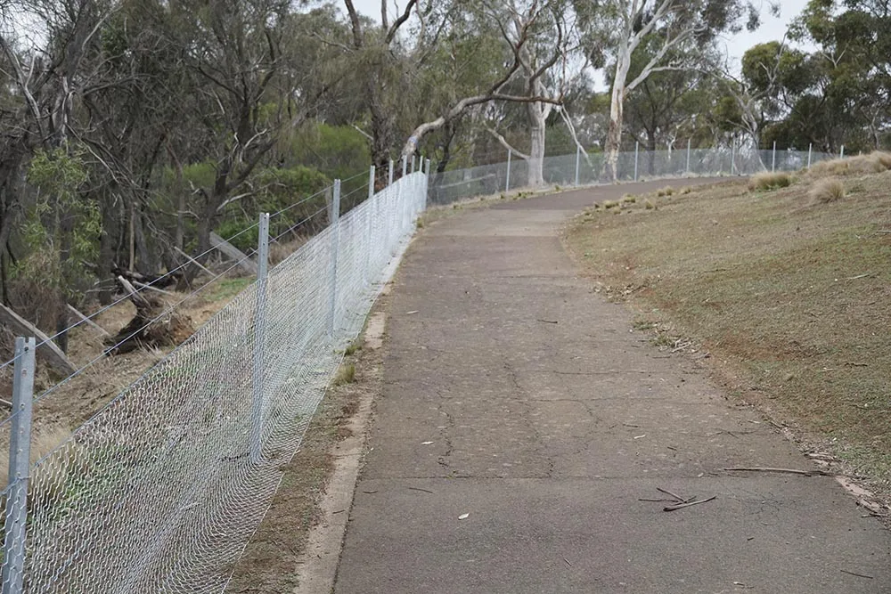 Cycleway fencing - Cycleway fencing