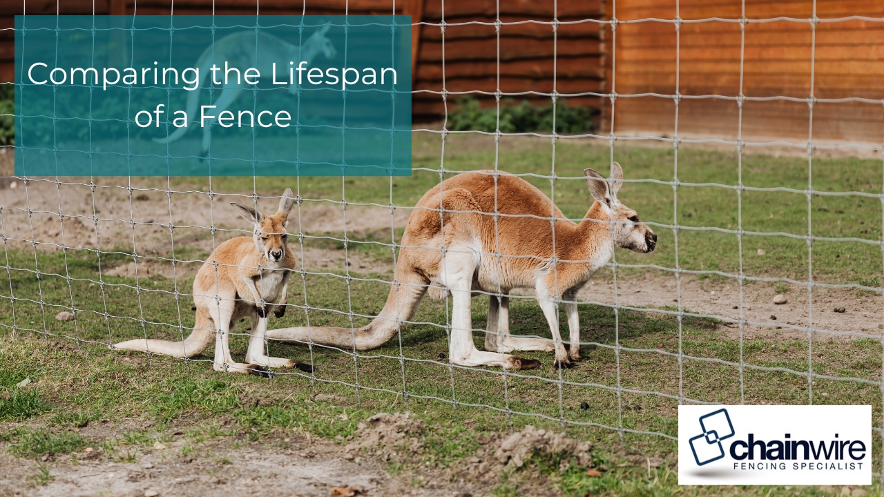 Comparing the Lifespan of a Fence