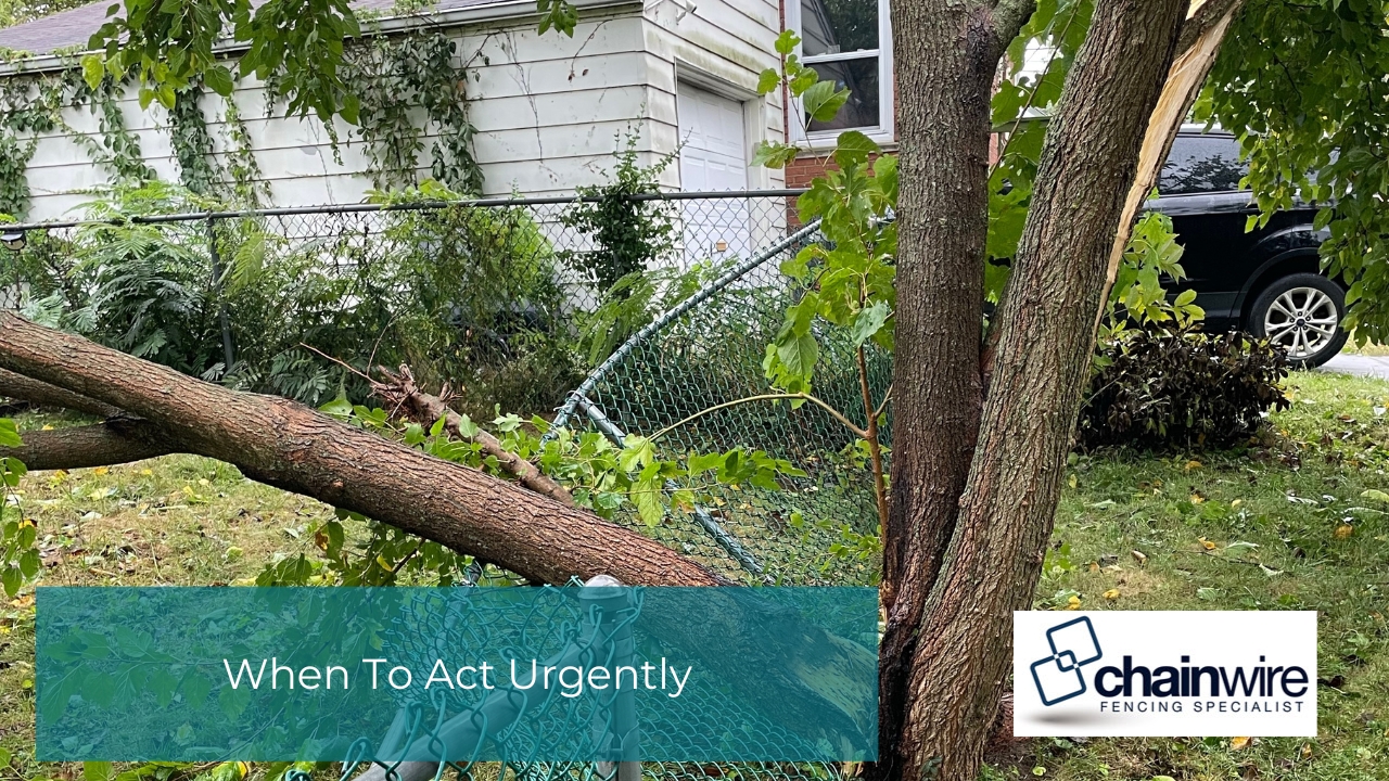 What to Check After Storm Damage to Your Fence - Storm damage A large tree branch snapped off and fallen onto a crushed green chain-link fence in a residential yard