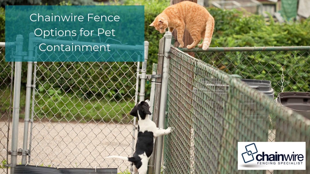 An orange cat balances on the top rail of a chainwire fence, looking down at a small black-and-white puppy jumping up from the other side.